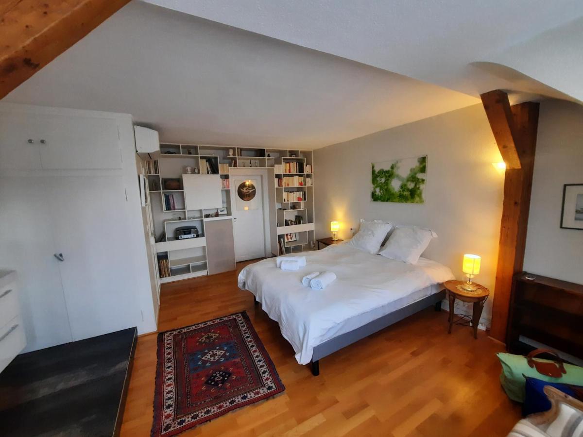 145M² City Center 4 Bedrooms View Of The Cathedral Štrasburk Exteriér fotografie